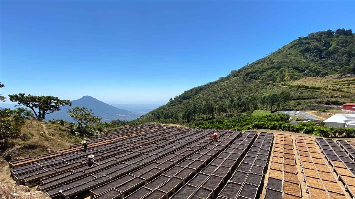 Las Palmas Berlin, Usulutan EL SALVADOR
